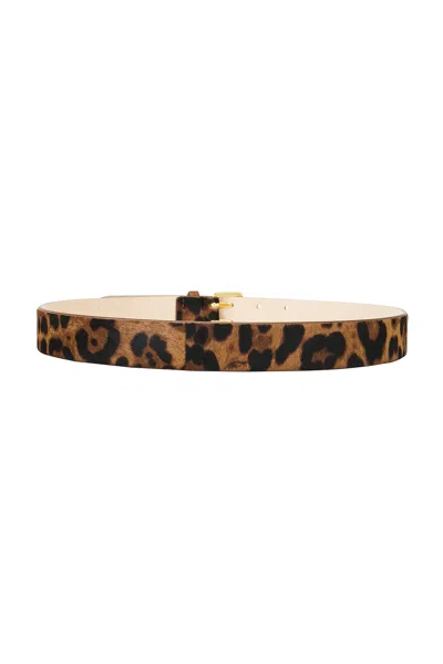 Dehanche Mini Hutch Animal Belt In Brown