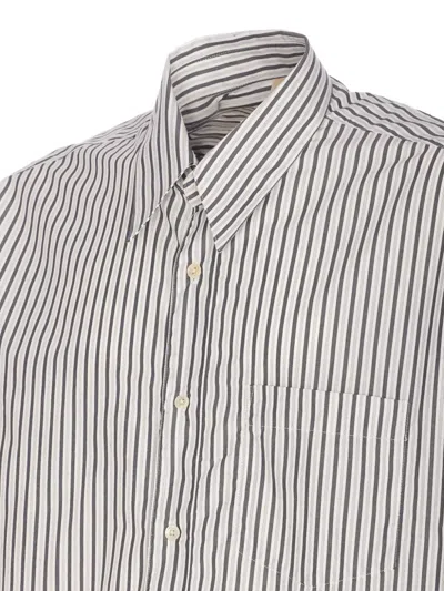 Sunflower Striped Long Sleeve Button-down Shirt In Neutral