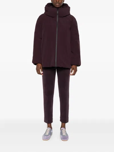 Rrd Hooded Bomber Jacket In Brown