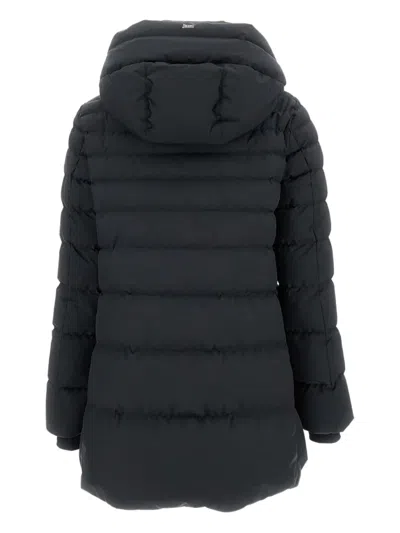 Herno Detachable-hood Padded Coat In Multi