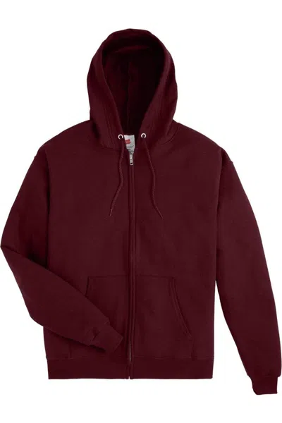 Hanes Ecosmart Full-zip Hooded Sweatshirt In Multi