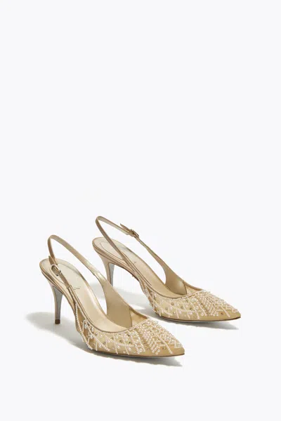 René Caovilla Lovely Honey Slingback 80 In Brown