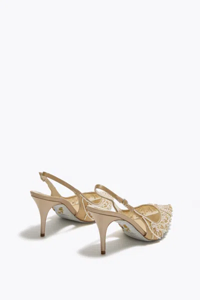 René Caovilla Lovely Honey Slingback 80 In Brown