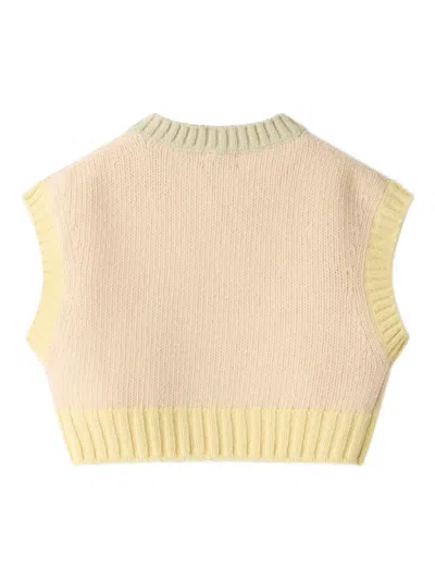 Il Gufo V-neck Ribbed Top In Multi