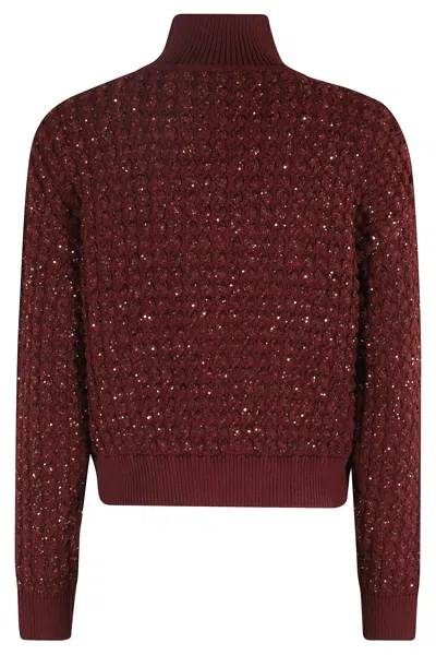 Elisabetta Franchi Cable-knit Tricot Sweater With Sequined Inserts In Burgundy