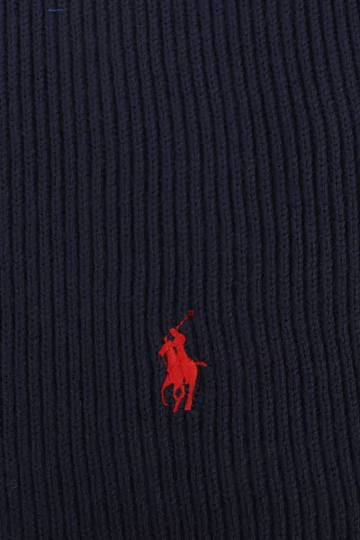 Polo Ralph Lauren Wool Blend Scarf In Blue