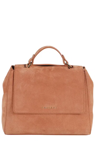 Orciani Siena Earth Leather Shoulder Bag In Orange