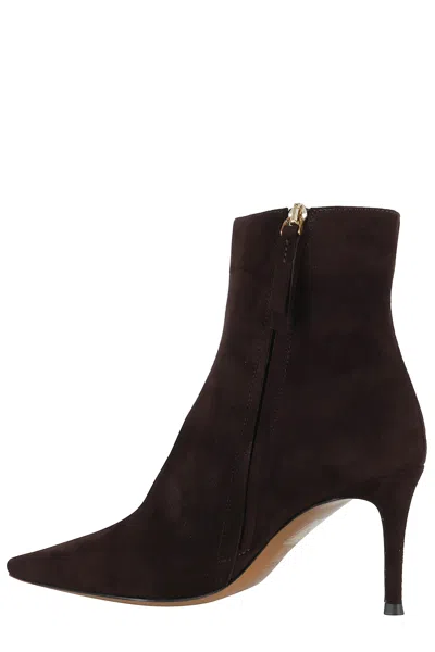 Roberto Festa Bride75 In Brown