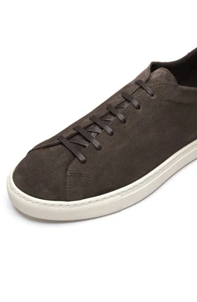 Morjas The Sneaker 02