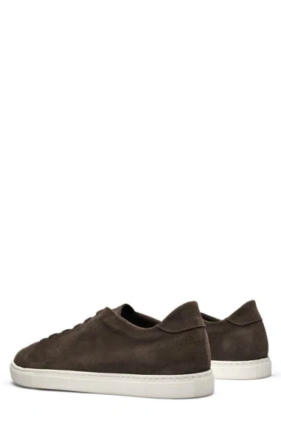 Morjas The Sneaker 02