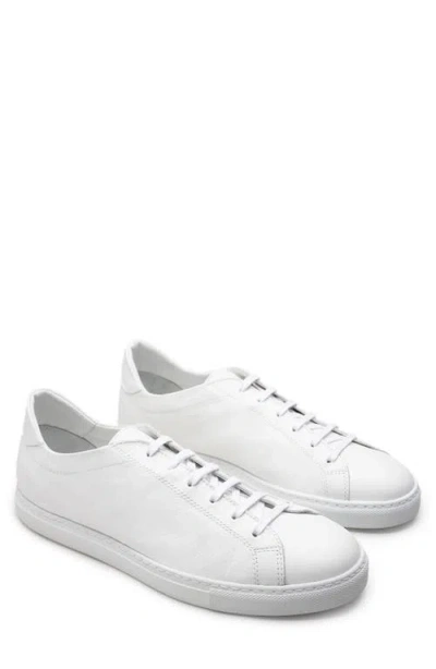 Morjas The Sneaker 02 In White