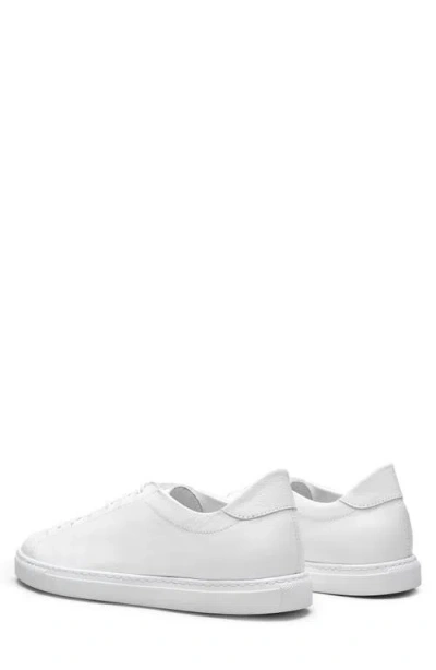 Morjas The Sneaker 02 In White