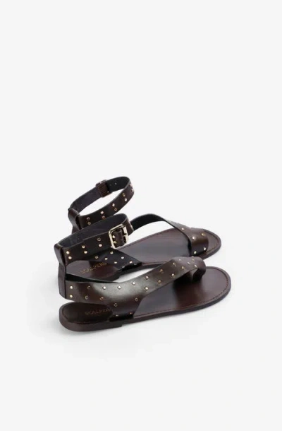 Scalpers Atenas Studs Sandal In Black