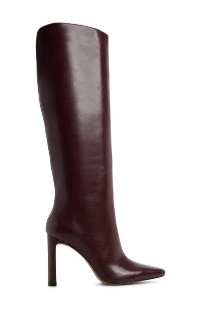 Aldo Women's Elyne Knee High Pointed Toe Boots In Brown