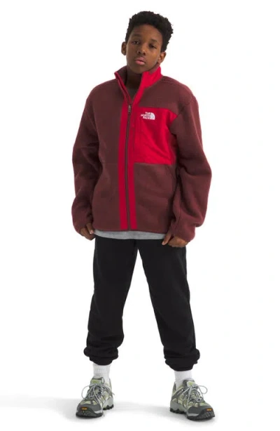 The North Face Kids' Yumiori Full Zip Fleece Jacket In Brown