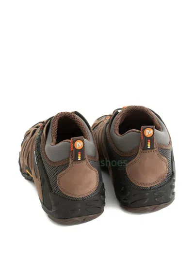Merrell Cham Ii Stretch Sneakers In Brown