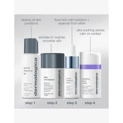 Dermalogica Home For The Holidays Gift Set In Transparent