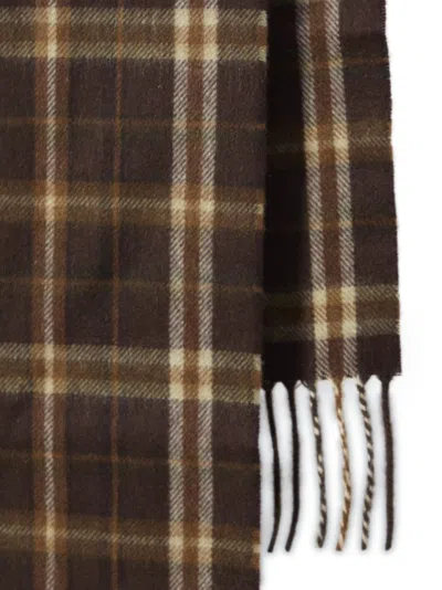 Celine Brown 35x190cm Cashmere Scarf In Burgundy