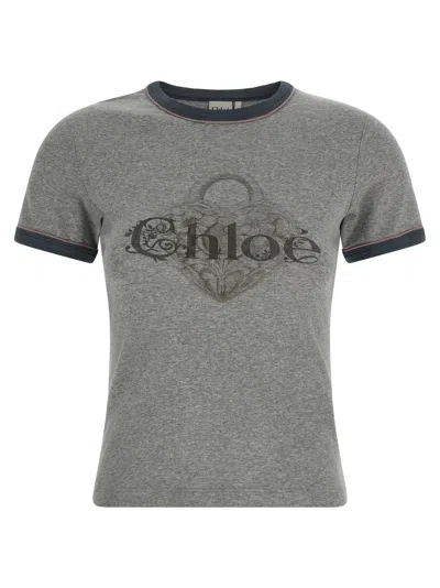 Chloé Baby Fit T-shirt With Logo In Cotton Jersey In Gray