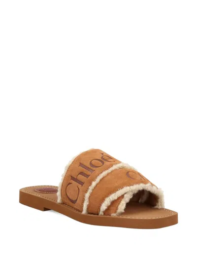 Chloé Chloe' Women Woody Sandals In Multi