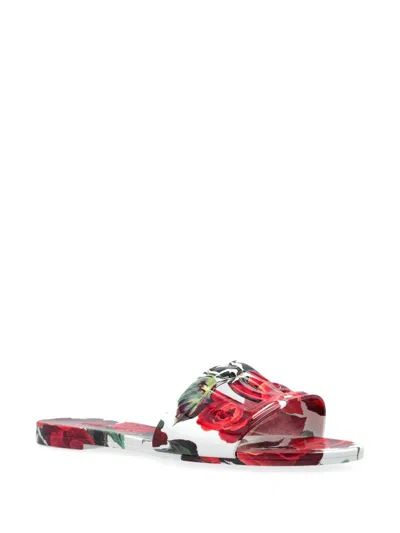 Dolce & Gabbana Women Floral Slide Sandals In Multi