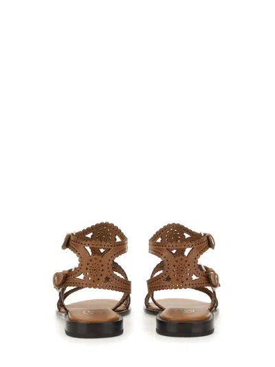 Ash Buff Calf Leather Sandals In Brown