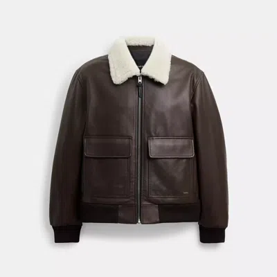 Coach Leather Flight Jacket With Shearling Collar In Brown