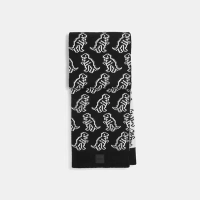 Coach Dino Print Knit Muffler In Black