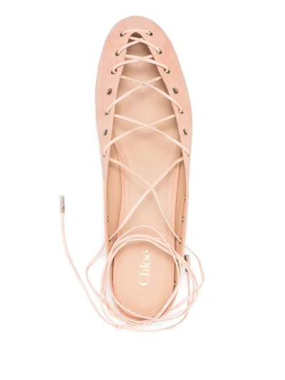 Chloé Chloe Women Light Pink Suede Chloe Ghillies Ballerinas