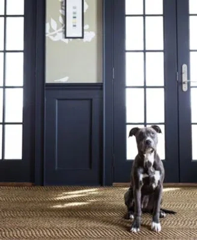 Dash And Albert Rugs By Annie Dash Albert Rugs By Annie Selke Wave Rda433 Rug Collection In Brown