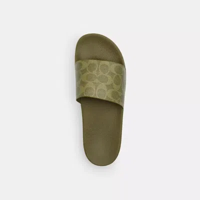Coach Udele Sport Slide In Signature Canvas In Green