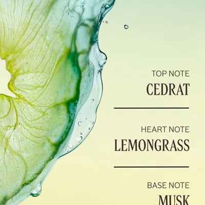 L'occitane - Cédrat Perfumed Shower Gel 8.4 Fl oz In Green