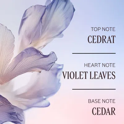 L'occitane - Lavande Blanche Perfumed Hand Cream 1 Fl oz In Multi