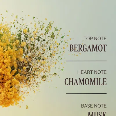 L'occitane - Barbotine Perfumed Body Lotion 8.4 Fl oz In Multi