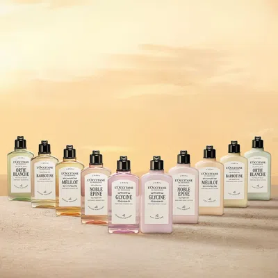 L'occitane - Barbotine Perfumed Body Lotion 8.4 Fl oz In Multi