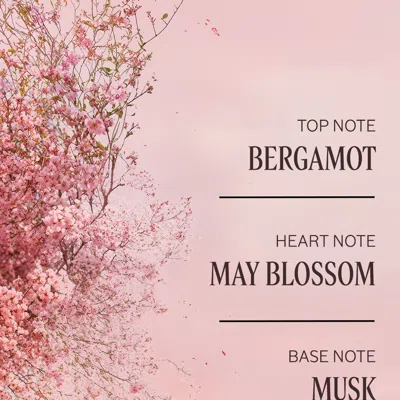 L'occitane - Noble Épine Perfumed Hand Cream 1 Fl oz In Multi