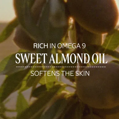 L'occitane - Lavande Poivre Noir Eau De Toilette 1.6 Fl oz In Transparent