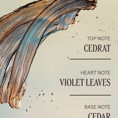 L'occitane - Cèdre Gingembre Perfumed Shower Gel 8.4 Fl oz In Transparent