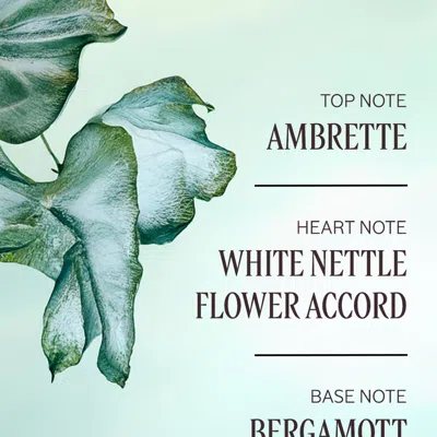 L'occitane - Ortie Blanche Perfumed Body Lotion 8.4 Fl oz In Multi