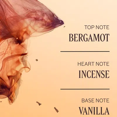 L'occitane - Cédre Encens Perfumed Shower Gel 8.4 Fl oz In Multi