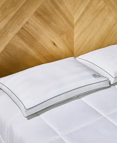 Lacoste Home Tennis Stripe Cotton Gusseted Firm-density Pillow, Standard In White