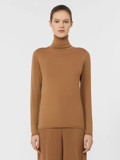Max Mara Saluto Virgin Wool Turtleneck Sweater In Brown
