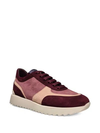 Le Silla Suede Sneakers In Multi
