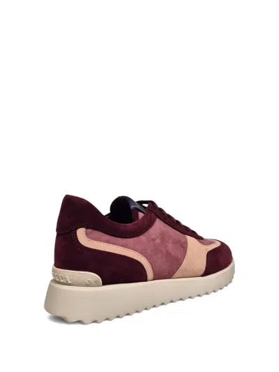 Le Silla Suede Sneakers In Multi