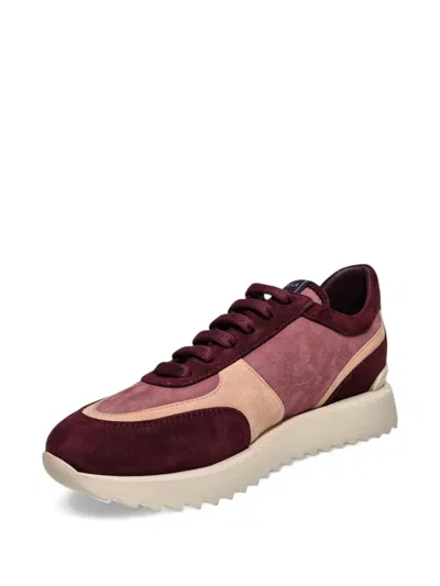 Le Silla Suede Sneakers In Multi