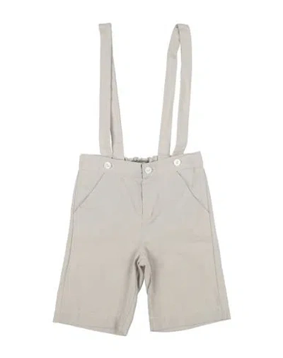 Little Bear Toddler Boy Shorts & Bermuda Shorts Grey Size 6 Cotton, Polyester In Gray