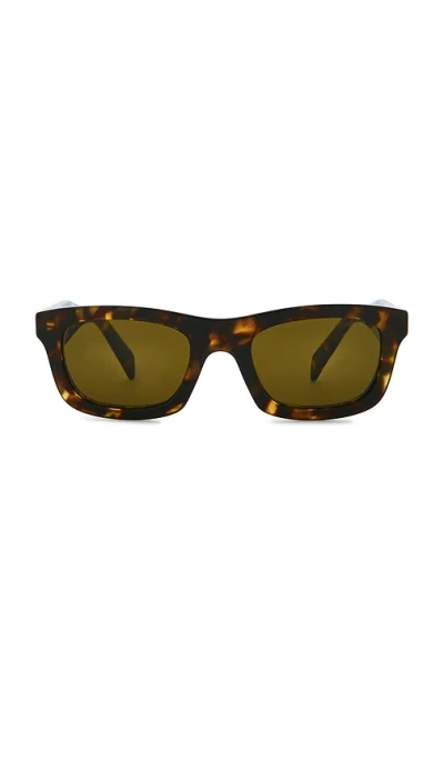 Å¤ªÉ˜³É•Œ Â€“ HONEY TORTOISE & DARK BROWN. Å°ºÇ � ALL.