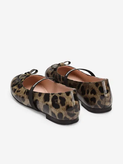 Dolce & Gabbana Ballet Flats In Printed Shiny Calfskin In Multi