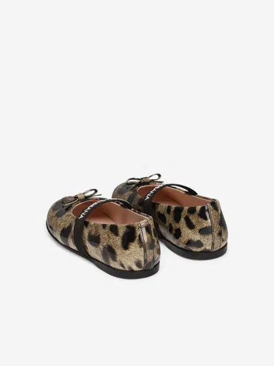 Dolce & Gabbana Ballet Flats In Printed Shiny Calfskin In Brown