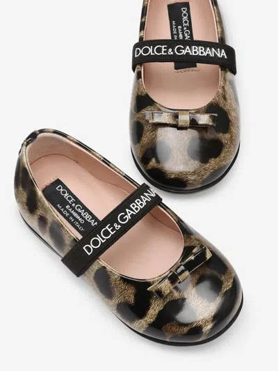 Dolce & Gabbana Ballet Flats In Printed Shiny Calfskin In Brown